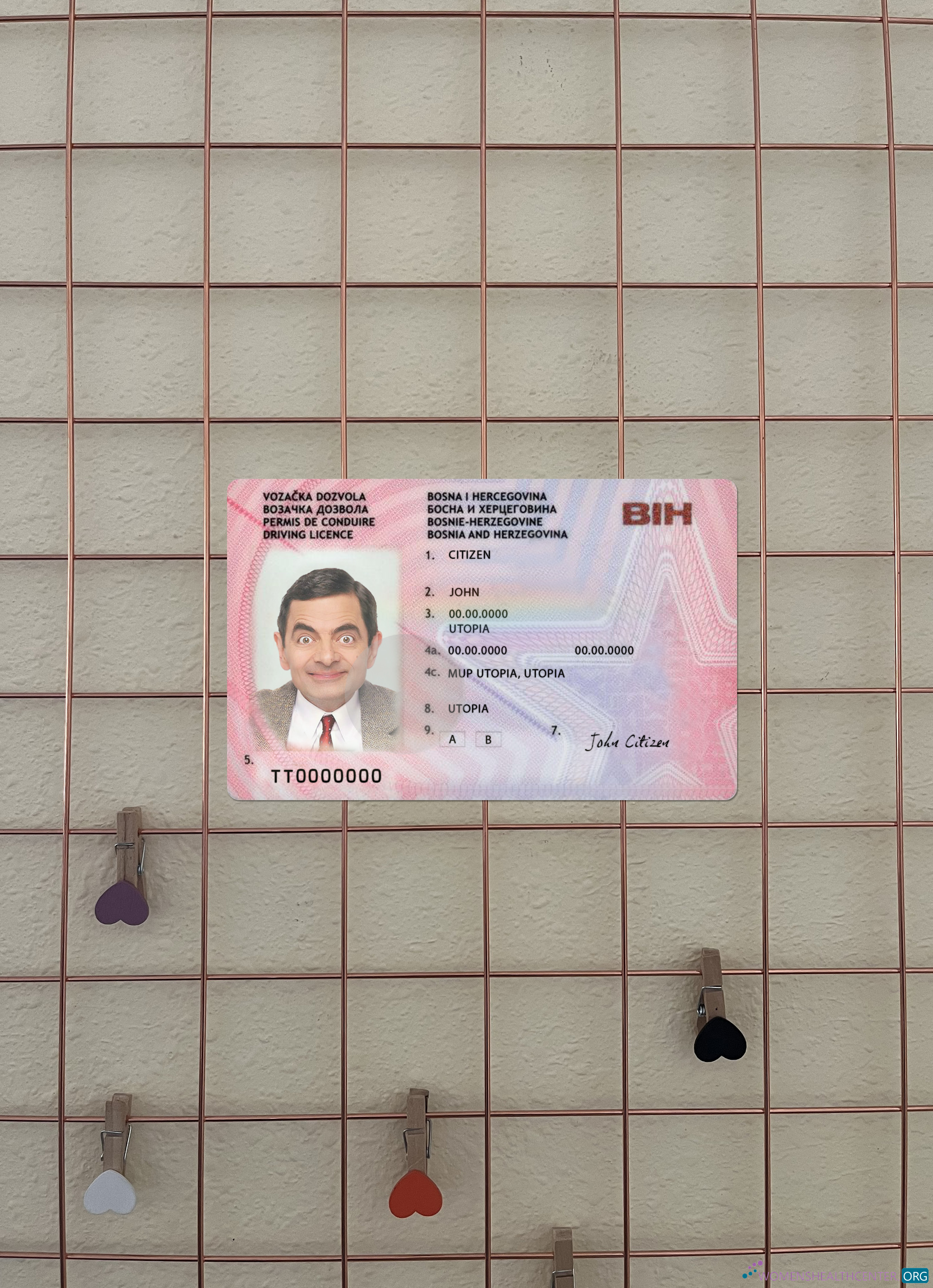 Download Bosnia and Herzegovina driving license version 2 photolook front Photoshop template